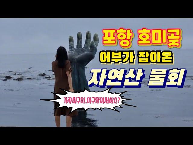 포항가볼만한곳 호미곶 어부가잡아다가 파는 자연산물회