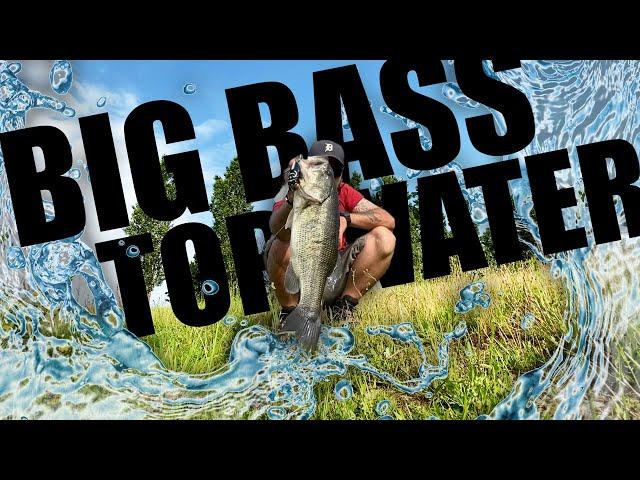 BASS FISHING in cava con grosse esche TOP WATER - BIG BASS