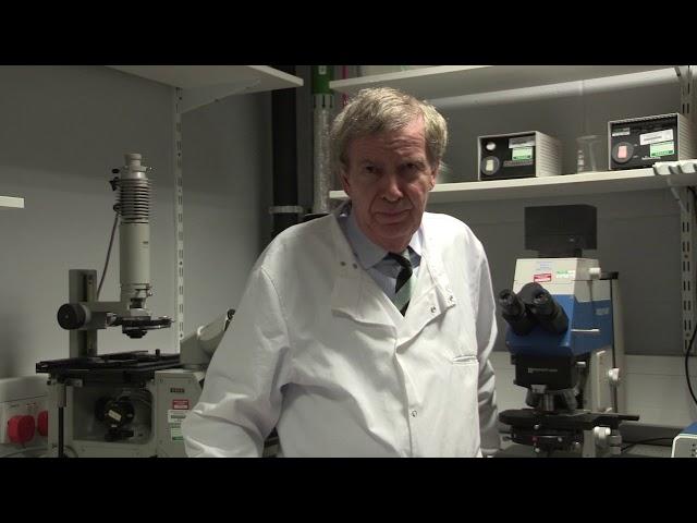 Professor Philip Rudland - metastasis in breast cancer