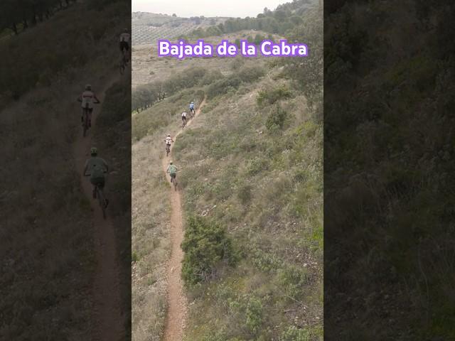 Bajada de la Cabra en la Abr a vista de drone #drone #mtb #abr2025 #therango82