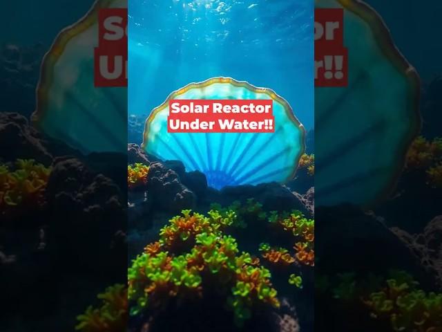 Solar Panel in The Sea #evolution #science #technology #solarpanel #solar #biology