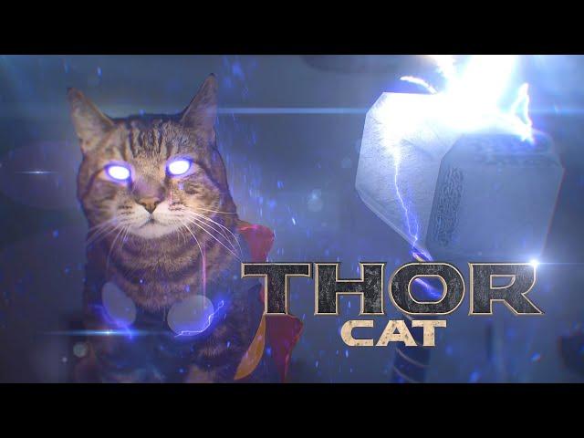 Thor Cat