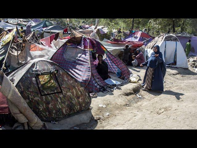 Thousands camping in Kabul’s streets face food crisis as economy collapses