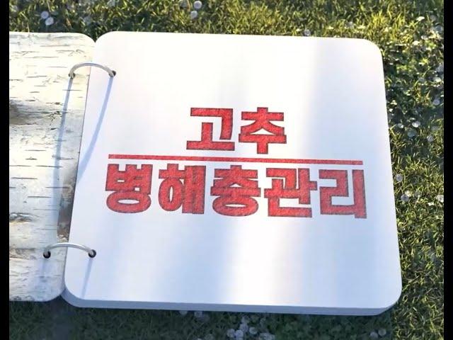 고추 - 병해충 관리