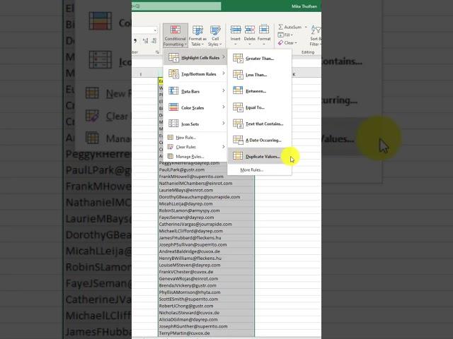 Excel Duplicate Name Highlight