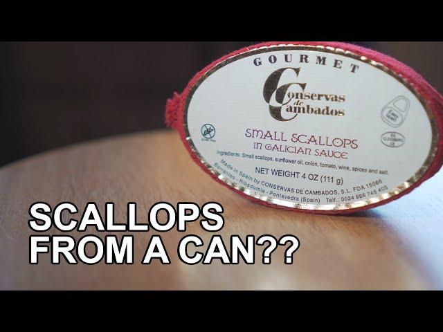 Eating Fancy Little Scallops! | Canned Fish Files Ep. 24