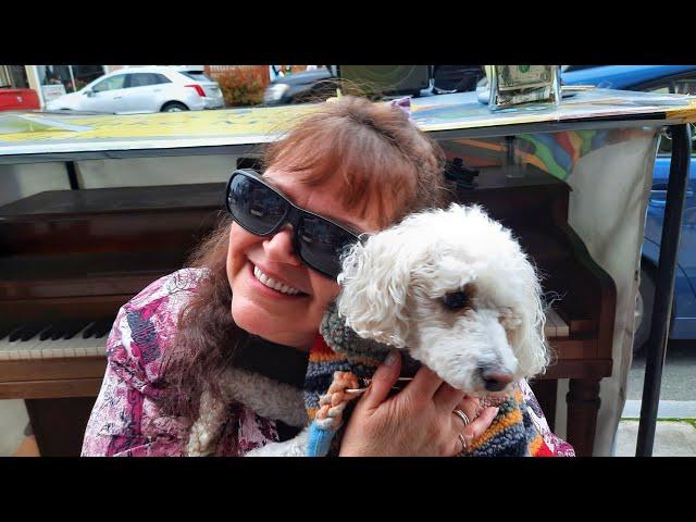 Jerry & Julie Music (featuring Polly Dot)  LIVE BUSKING  #piano #fun #music