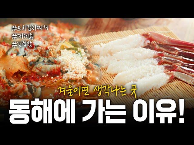 겨울이면 생각나는 대게와 각족 해산물 요리들 다 모아봄! 우리가 동해를 가는 이유 | KBS 190117 방송