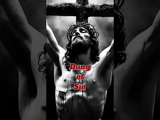 I'm a Christian and I Discovered the SHOCKING Truth About Sin