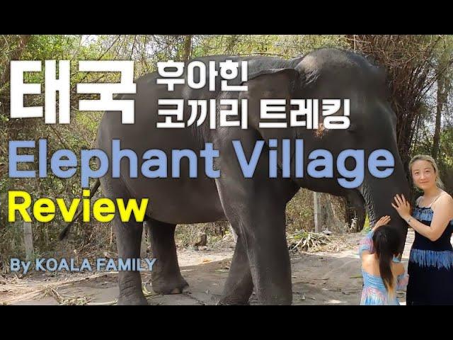 코알라 가족의 코끼리 트레킹! 태국 후아힌 관광 THAILAND HUAHIN TOUR  [Koala Family Story] 코알라 가족 이야기