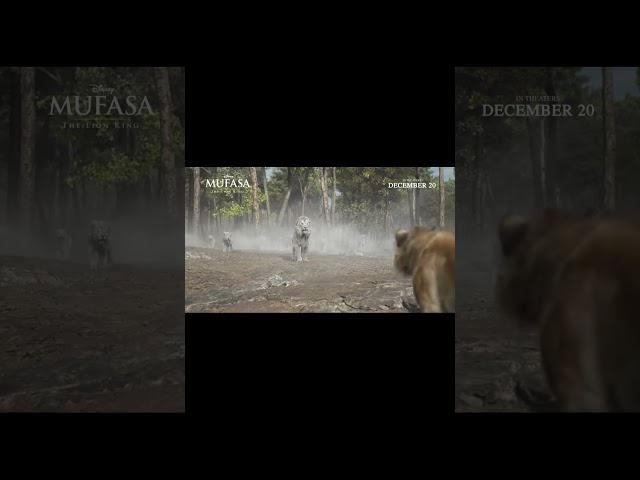 ️  獅子王：木法沙   | 官方電影預告片(2024) |  必看獅子王續集 | 動漫 | HD | 電影推薦 ！