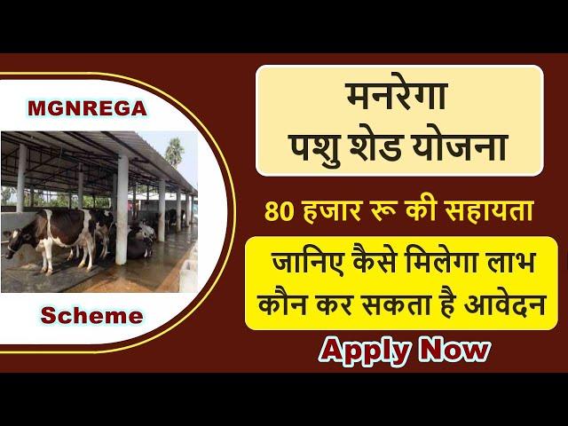 mgnrega pashu shed yojana kya hai | pashu shed yojana online apply | mgnrega pashu shed scheme 2021