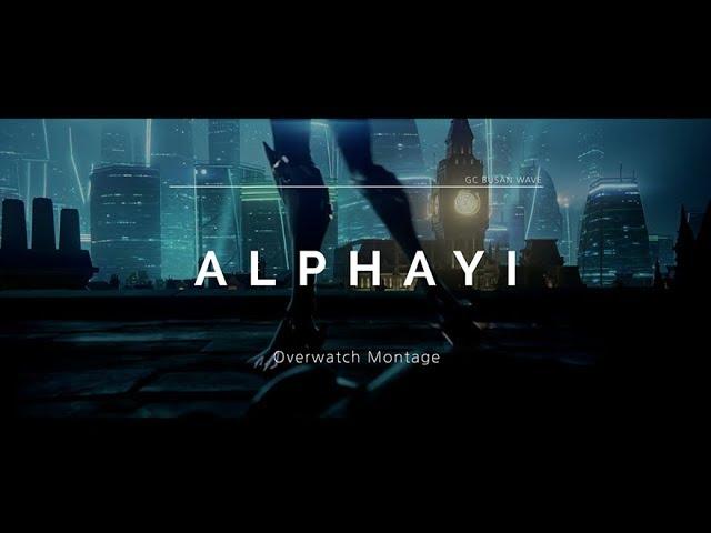 알파이 매드무비 | ALPHAYI MONTAGE