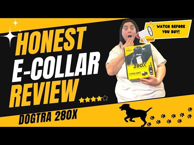 Dogtra 280X E-Collar- Honest Review for All Your Dog Training Needs