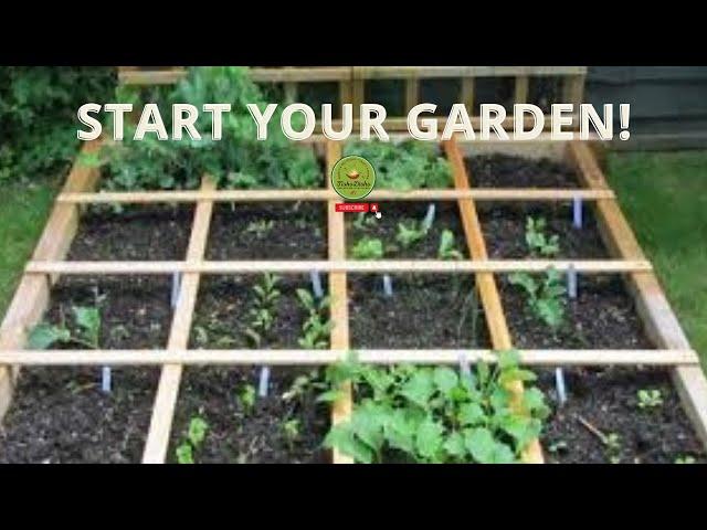 Letitia's Passion for Growing Fresh Vegetables: Tips & Tricks for a Thriving Garden: Letitia Montoya