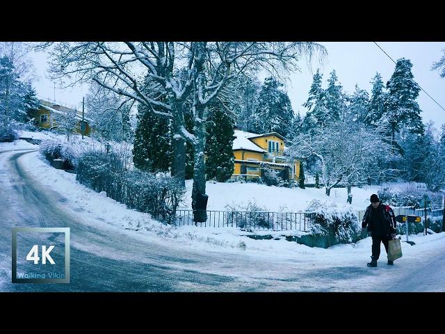 Snowy️ Forest Walk in Stockholm 4K HDR Relaxing