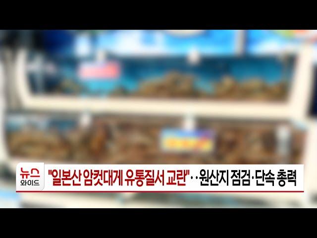 "일본산 암컷대게 유통질서 교란"..원산지 점검·단속 총력 | HCN 경북방송