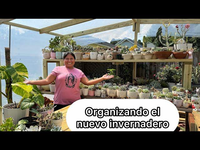 ORGANIZANDO El nuevo invernadero para las plantas tropicales y suculentas