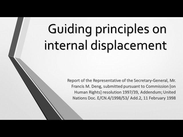 Guiding principles on internal displacement