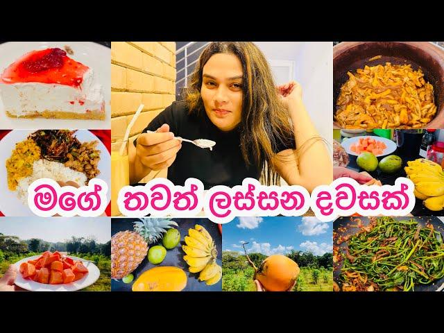 My Day Vlog |කෑම වලින් පිරුන ලස්සන දවසක් #vlogger #vlog #dayinmylife #dayinthelife #sinhala #day