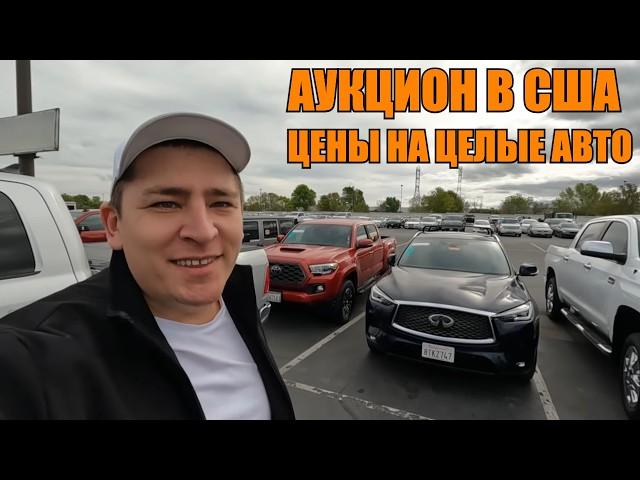 Обзор целых машин на Аукционе | Цены на Авто в США 2025