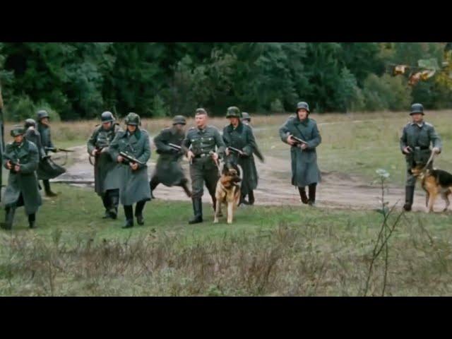 ВРАГ НАСТУПАЕТ ПО ВСЕМ ФРОНТАМ! ВОЕННЫЙ ФИЛЬМ НА РЕАЛЬНЫХ СОБЫТИЯХ! "Глубокое Течение"