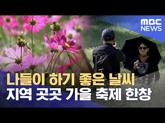 가을꽃 만개.. 풍성한 가을 축제 (2024.10.11/뉴스데스크/MBC충북)