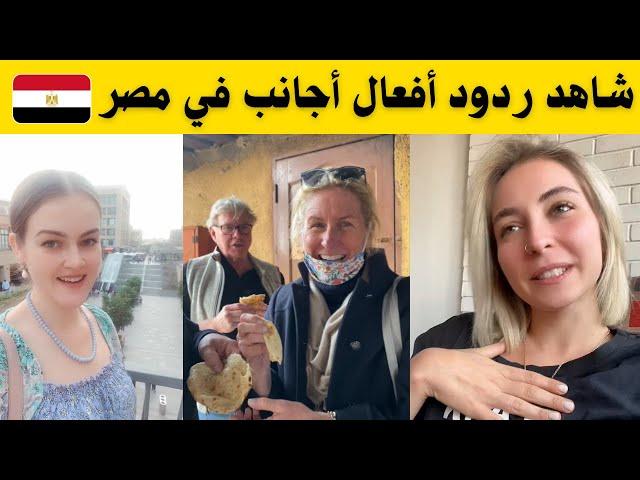 شاهد ردود أفعال أجانب في مصر | مش هتتوقعها