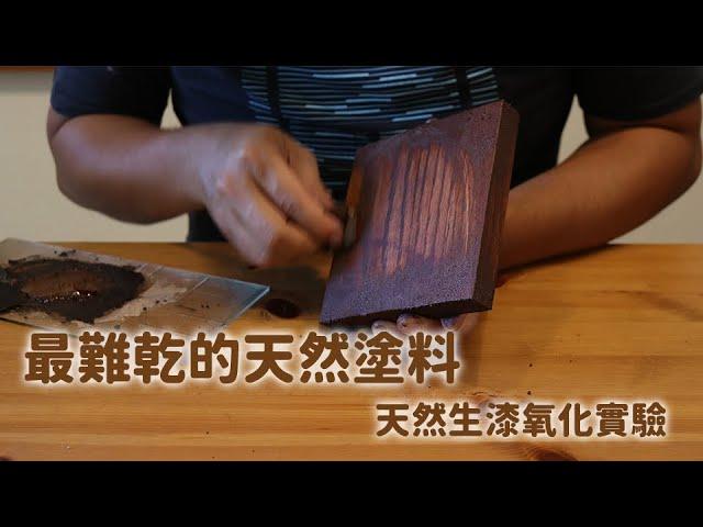 最難乾的天然塗料-天然生漆氧化實驗 Lacquer oxidation experiment