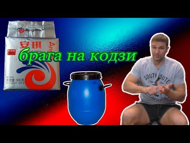 Самый простой способ приготовления браги на кодзях