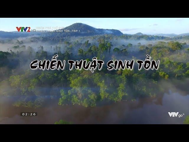 Khám phá thế giới - Chiến thuật sinh tồn