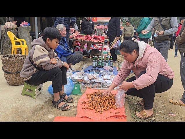 Poor boy - Harvesting fresh turmeric to sell at the market - The orphaned life of a 12-year-old boy