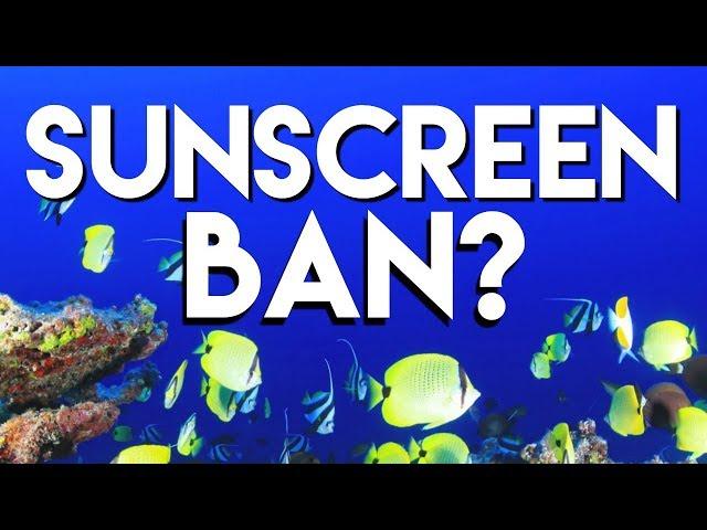 Hawaii sunscreen ban: what a dermatologist thinks| Dr Dray 
