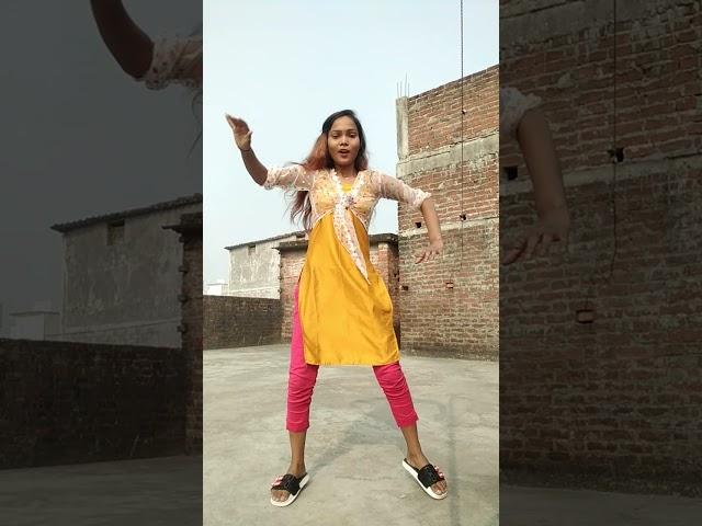 Ragini Raj model