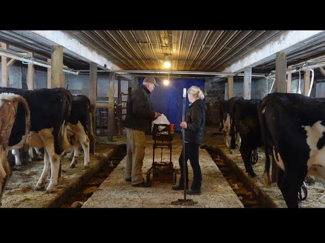 Spend a day on a small dairy farm…