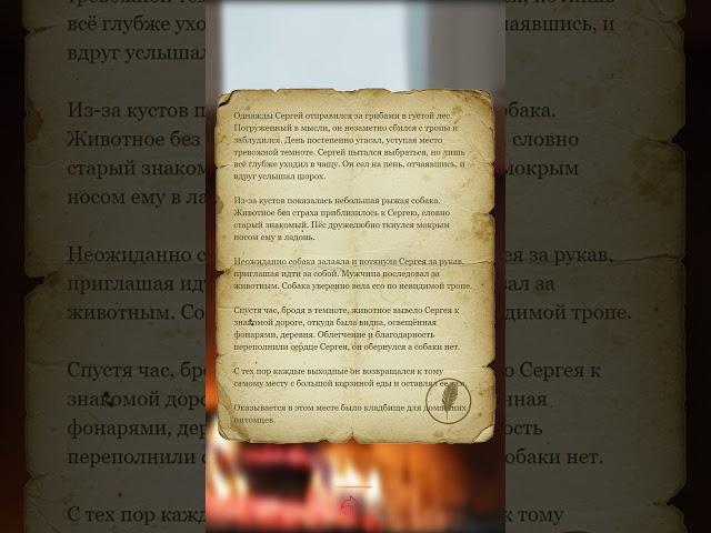 Пёс вывел меня из темноты — история о чуде и спасении #жизненныеистории #историиизжизни #истории