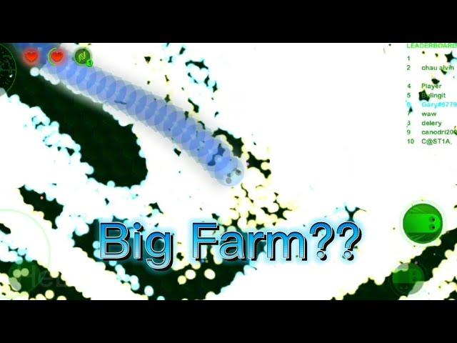 Wormax.io - Big Farm