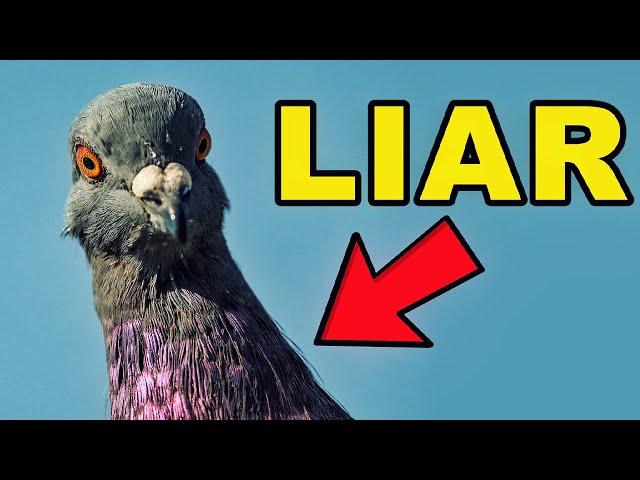 Birds Aren't Real | The Documentary Part 1