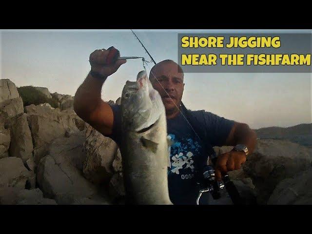 Shore Jigging near the fishfarm for Bluefish, Bonitos and Barras! Feat ZENAQ MUTHOS ACCURA 100H
