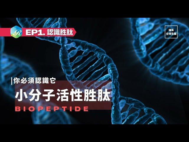 小分子活性胜肽｜EP1.認識胜肽