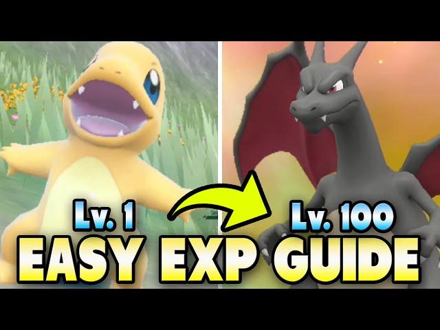  BEST EXP FARMING Guide for Pokemon Scarlet & Violet!