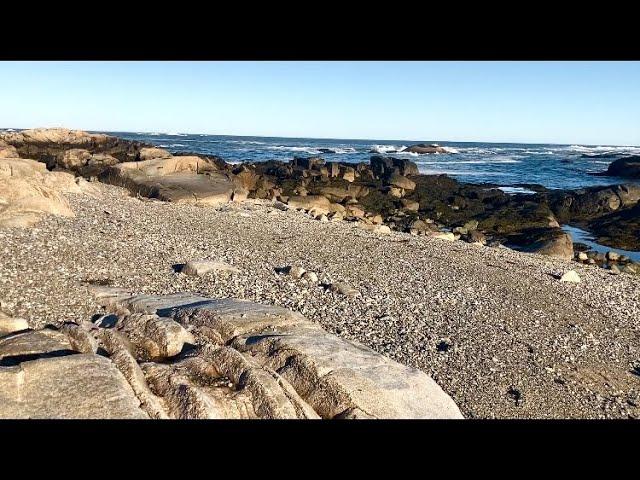 ASMR tidepool and beach exploration