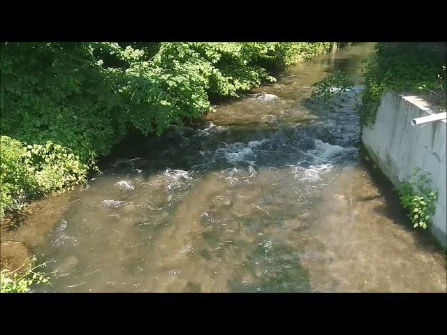 Die Blau mündet in der Donau #Blau #Donau #Kobelgraben #Ulm #blaubeuren #river #fluss #rainerwandert