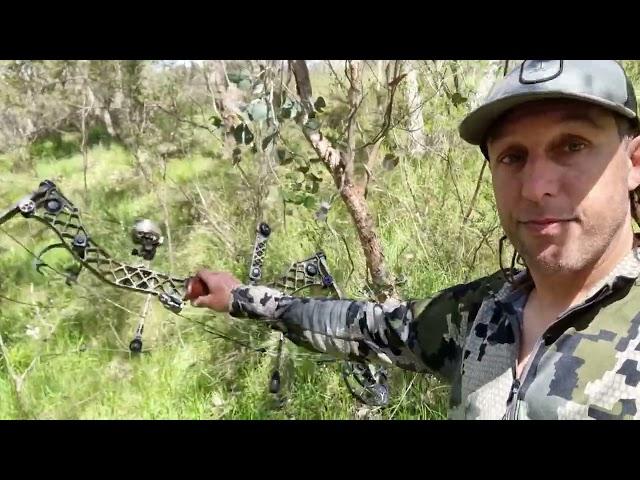 What Happens When You Dry Fire a Bow - Solo Sambar Hunter (Archives)