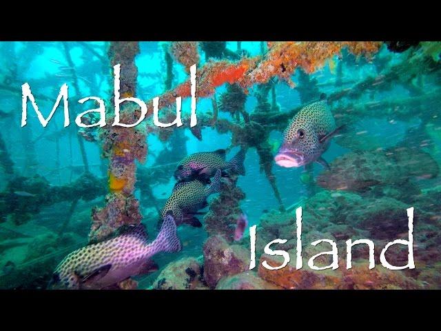 Mabul Island: Diving at Kapalai and Sea Ventures