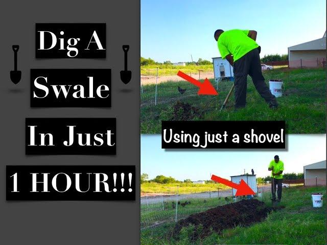 Permaculture at Work: 1 Hour Swale