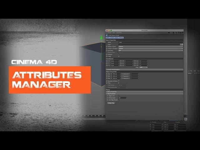 Learn the Attributes Manager in Cinema4D