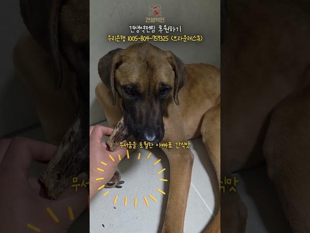 2년만에 아빠를 만나게된 톰 반응