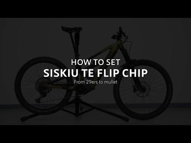 Siskiu TE: How to mullet with flip chip