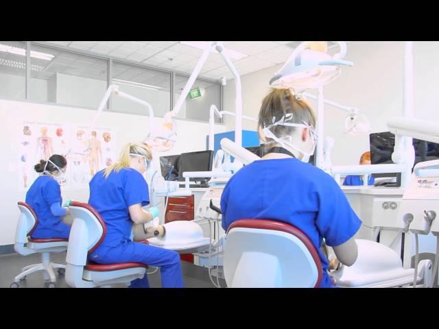 Dental Training and Education | RMIT University